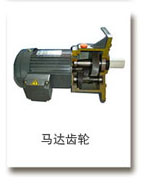 The motor gear